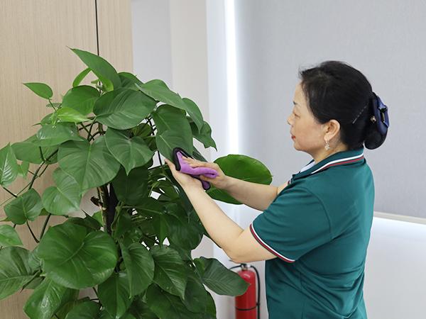 你真的了解保潔嗎？